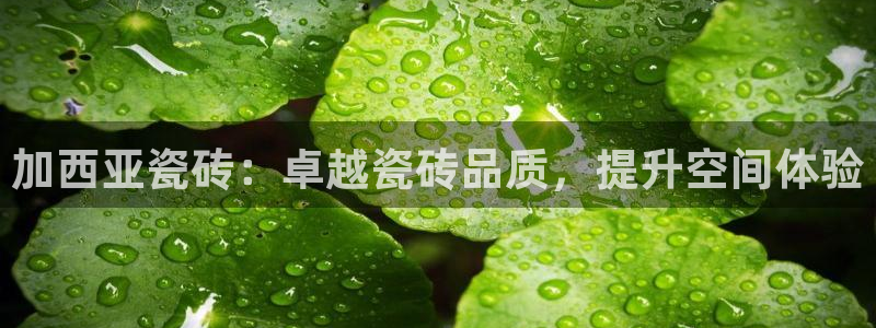 3和记电讯官网：加西亚瓷砖：卓越瓷砖品质，提升空间体验