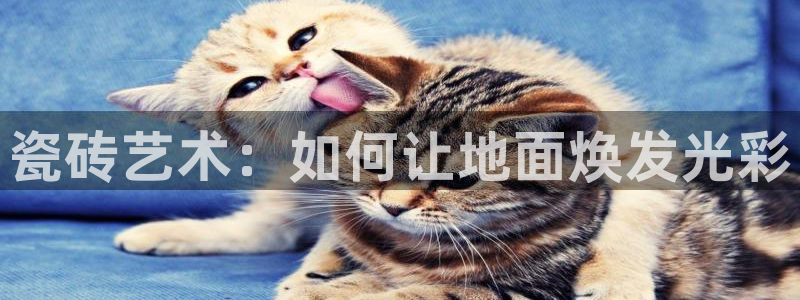 印尼和记官网