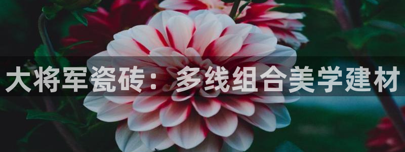 和记娱安全h88285官网