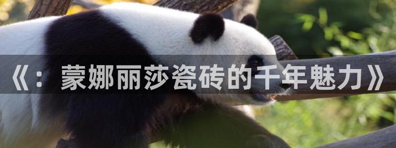 和记娱乐网官网