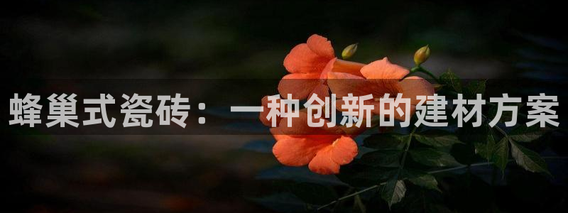 和记娱等级h88285官网