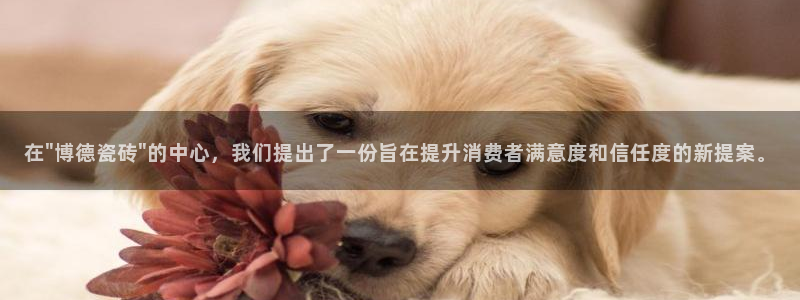 和记黄埔上海官网