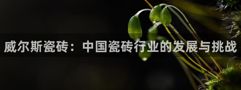 和记怡情官网入口