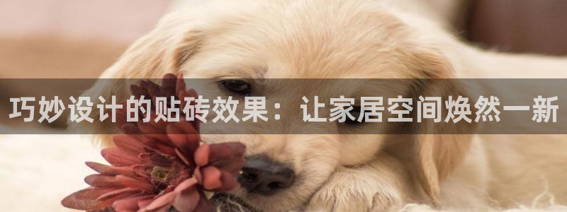 广州和德记官网