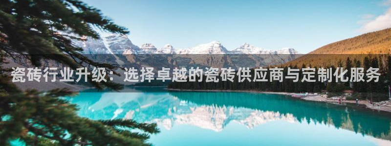 和记官网 公司