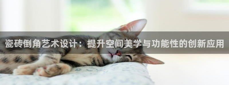 白云 和记黄埔官网电话