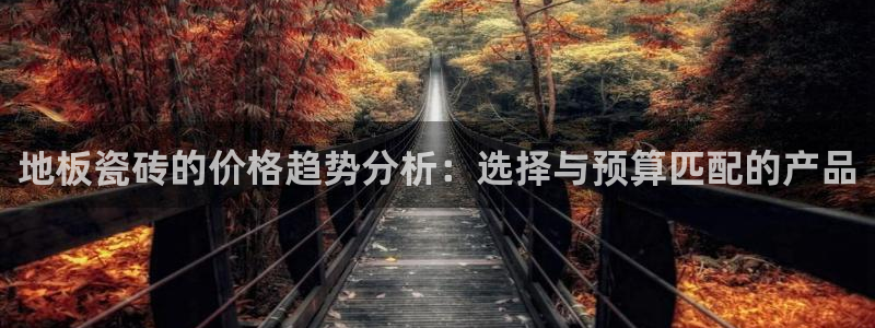 和记官网app是谁的