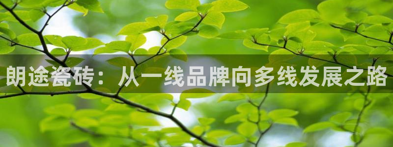 和记电讯3官网