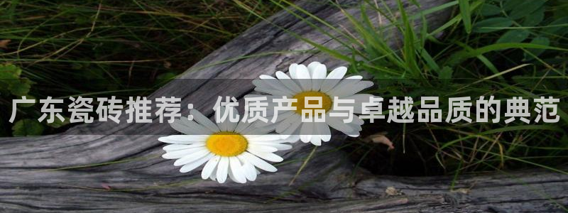 和记娱乐怡情博官网