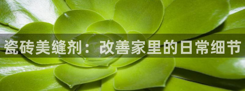 香港3和记官网