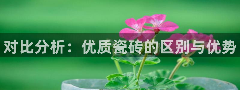 和记黄埔官网教育