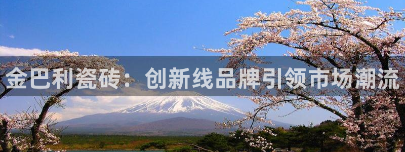 和木记手帕官网