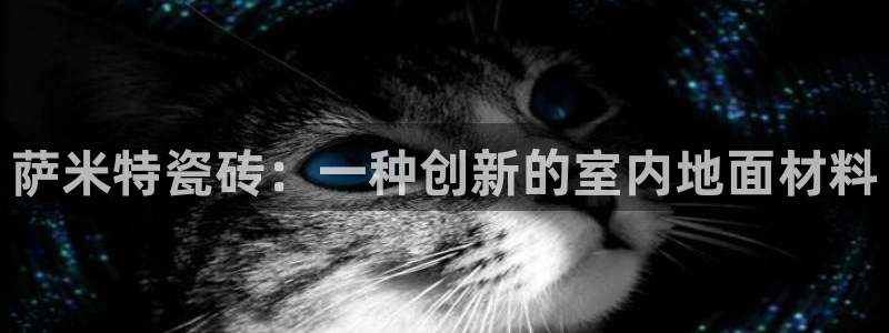 缅甸和记官网