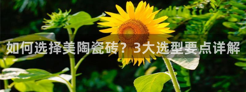 广州和德记官网