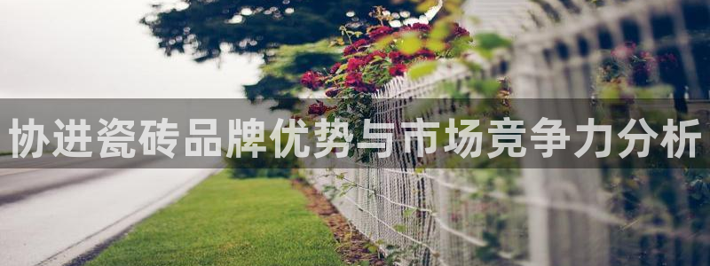 和记娱精湛h88285官网