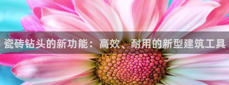 和记官网手机