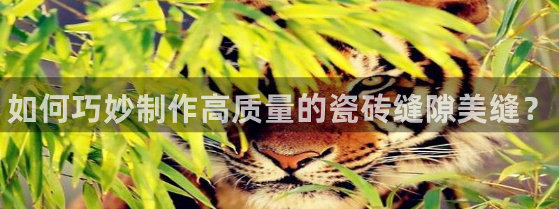 和记娱乐h88官网