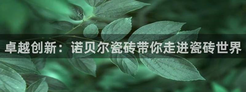 果博官网和记
