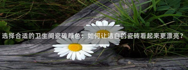 和记官网客服app