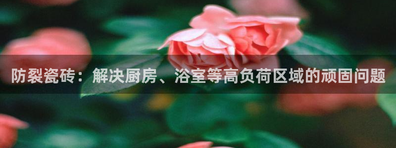 和木记手帕官网