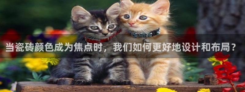 香港和记3官网