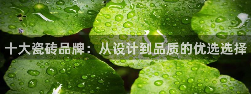 和记官网客服app