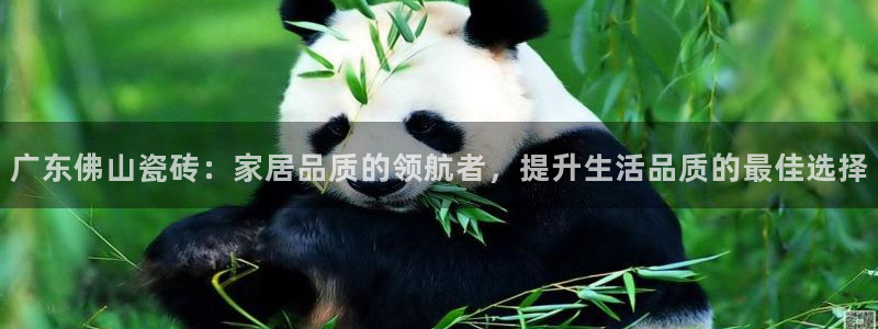 和记娱哪个位置h88285官网