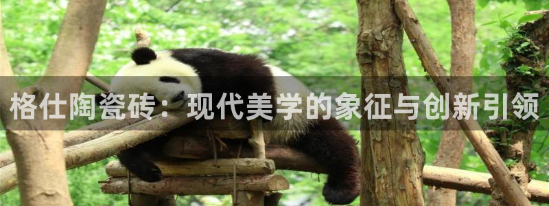 小金库钱包app下载官网和记