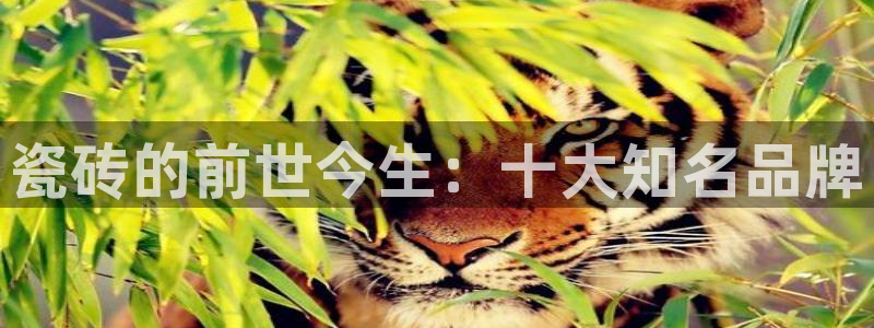 和记官网app是谁的