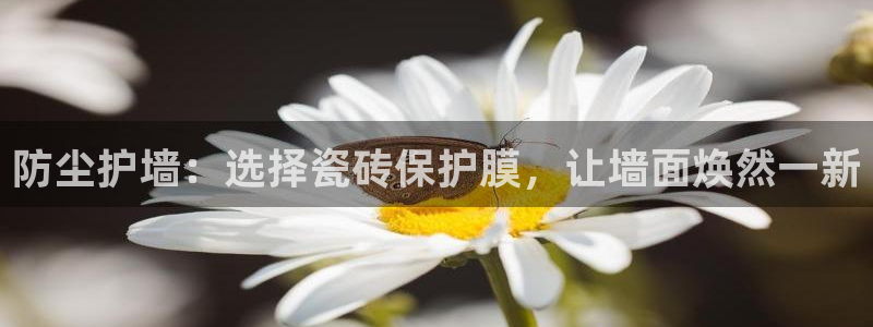和记官网app是谁的