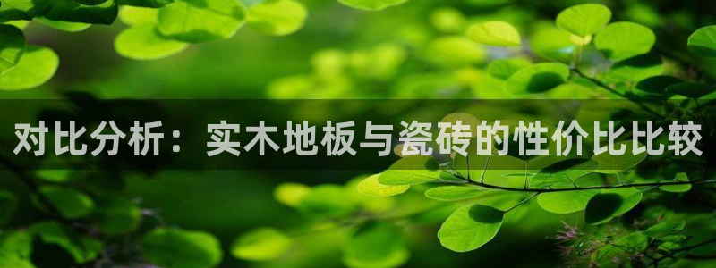 和记隆官网