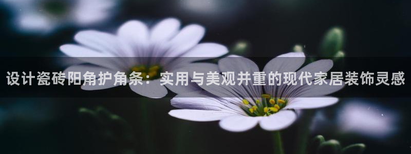 和记h88官网