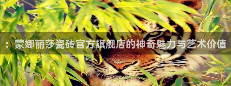 缅甸和记官网