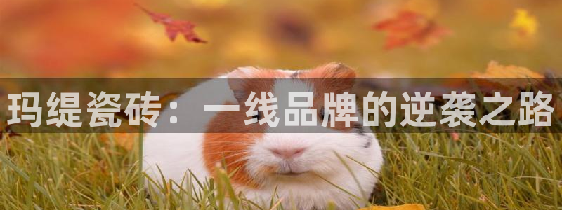 和记混凝土官网