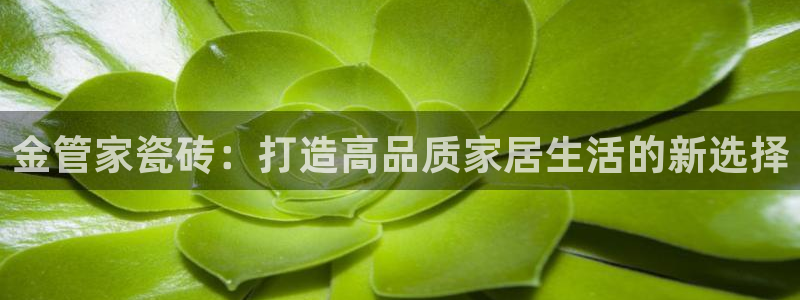 白云 和记黄埔官网