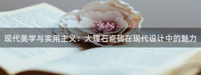 和记怡情h88官网中文版