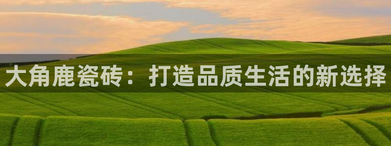 和元李记官网