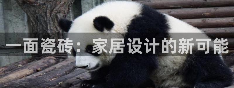 和记怡情h88官网中文版
