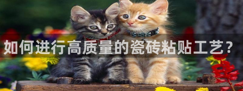 和记黄埔 成都 官网