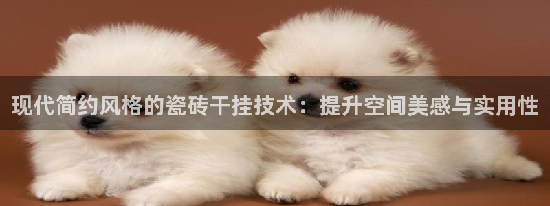 胡和记官网