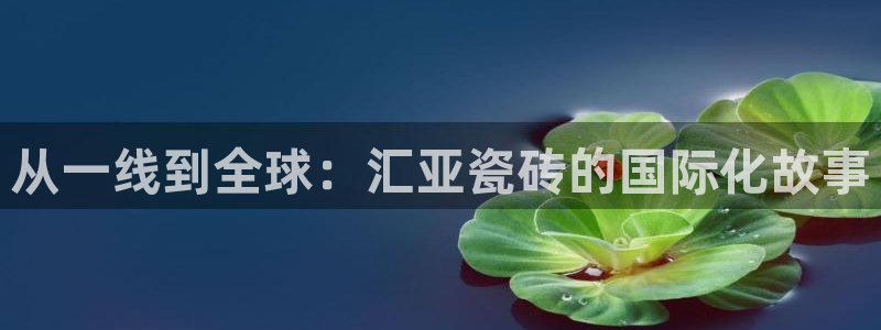 和记官网客服app