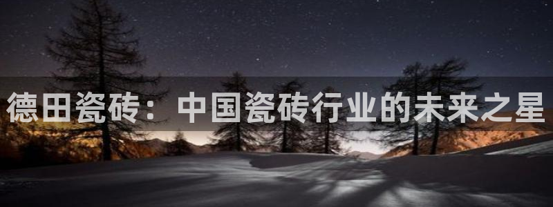 和记官网和记