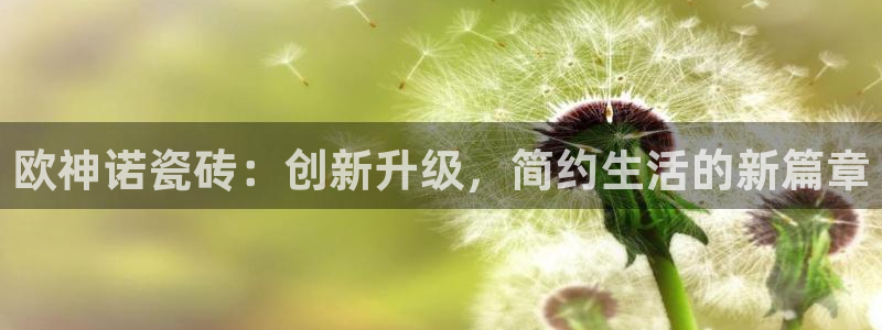 和记国际官网