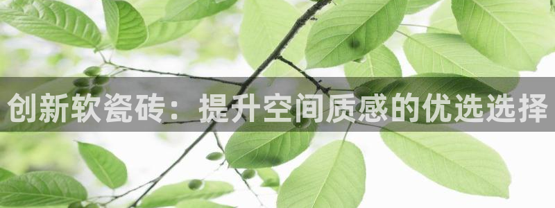 和记娱乐怡情博官网