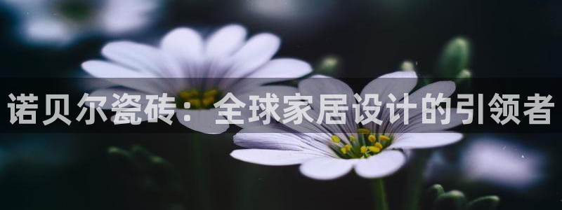 和记黄埔官网攻略