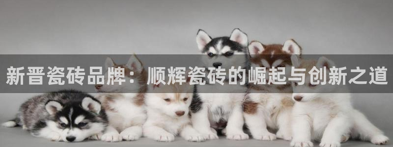 和记h1888怡情官网