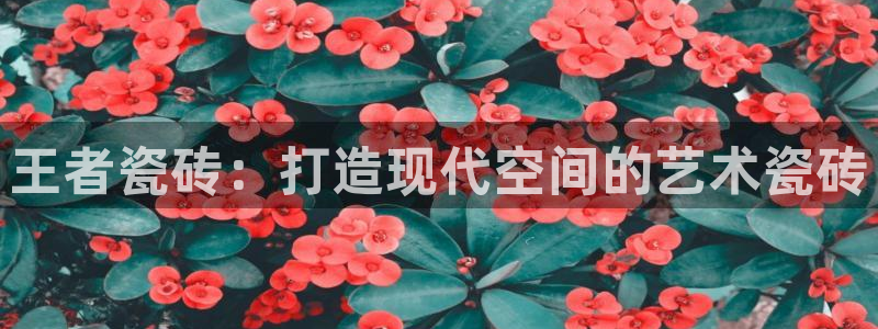 缅甸和记国际官网