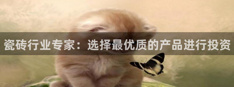 和记娱安全h88285官网