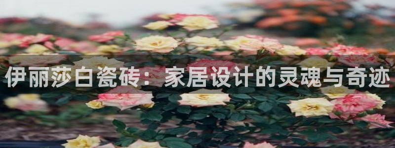 香港和记黄埔官网