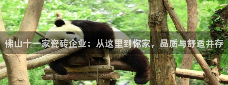 和记3香港 官网